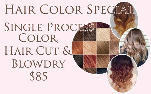 Hair Salon Midtown East - Michelle's Hair Salon & Color Boutique ...